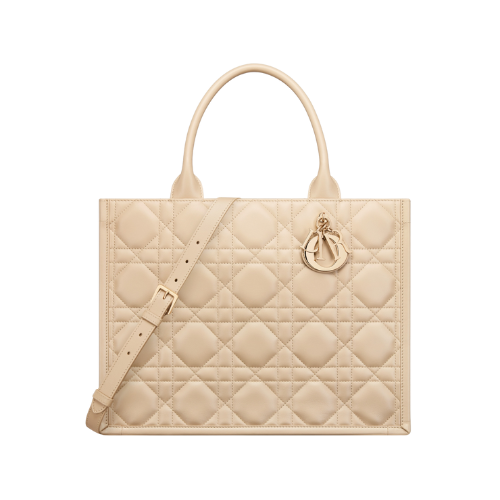 Dior Book Tote media