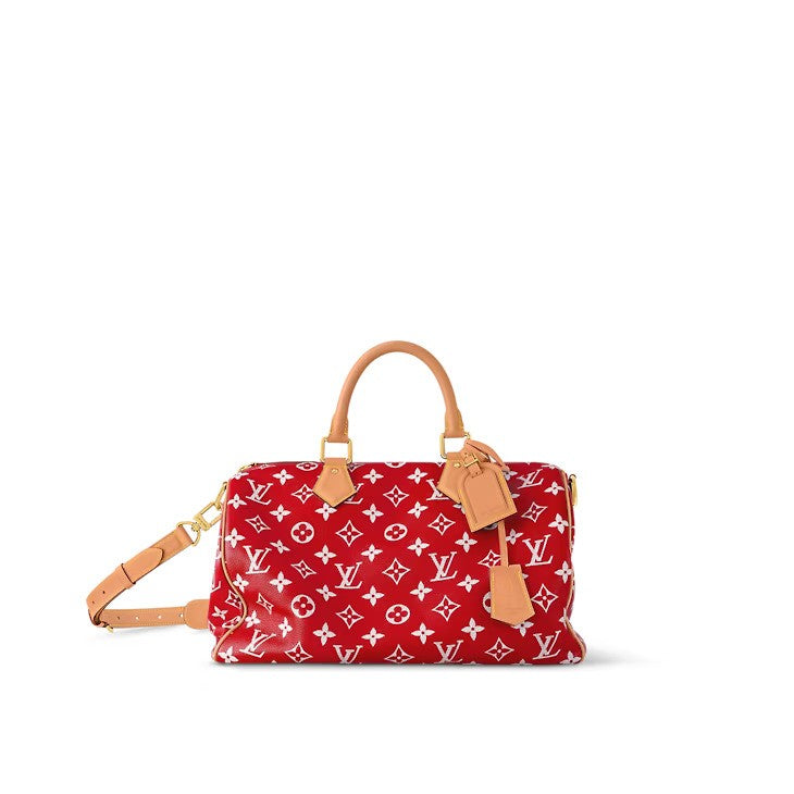 M24417 Sfilata Speedy P9 Bandoulière 40